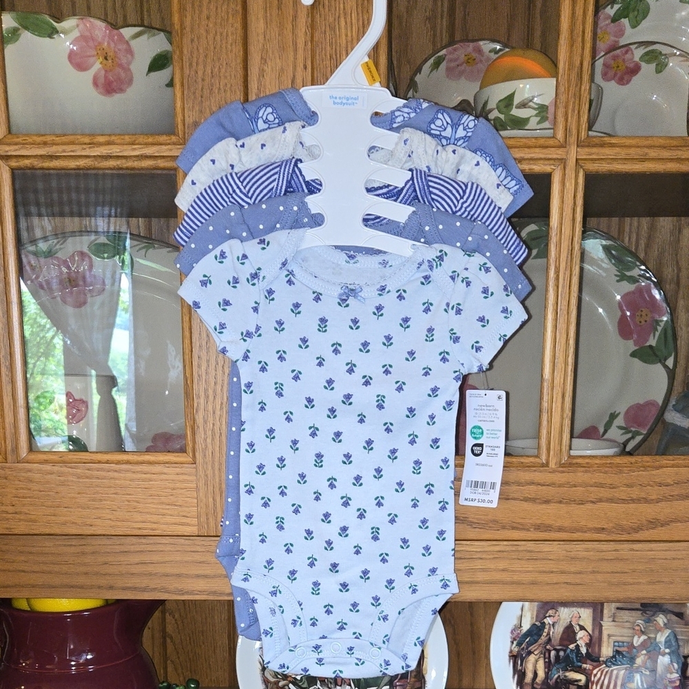 Carter's Blue and White Floral Bodysuit Set
